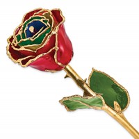 Lacquer Dipped Gold Trimmed Gypsy Rainbow Real Rose view 1