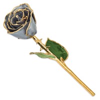 Lacquer Dipped Gold Trimmed Silver Moon Stone Real Rose view 2