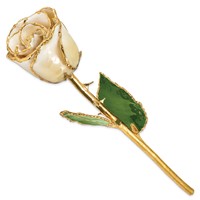 Lacquer Dipped Gold Trimmed Cream White Real Rose view 2