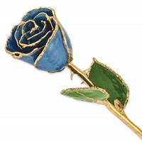 Lacquer Dipped Gold Trimmed Navy Pearl Real Rose view 1