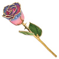 Lacquer Dipped Gold Trimmedmed Pink Navy Real Rose view 2