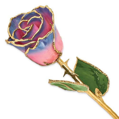 Lacquer Dipped Gold Trimmedmed Pink Navy Real Rose