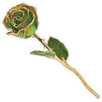 Lacquer Dipped Gold Trimmed Peridot Orange Real Rose view 2