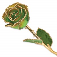Lacquer Dipped Gold Trimmed Peridot Orange Real Rose view 1