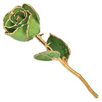 Lacquer Dipped Gold Trimmed Peridot Topaz Real Rose view 2