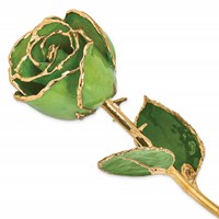 Lacquer Dipped Gold Trimmed Peridot Topaz Real Rose view 1