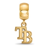 Sterling Silver Gold Plated Major League Baseball LogoArt Tampa Bay Rays Dangle Bead view 3