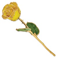 Lacquer Dipped Gold Trimmed Yellow Real Rose view 2