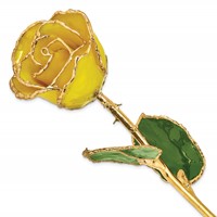 Lacquer Dipped Gold Trimmed Yellow Real Rose view 1