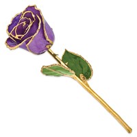 Lacquer Dipped Gold Trimmed Lilac Real Rose view 2