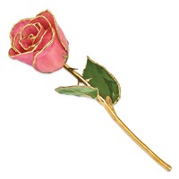 Lacquer Dipped Gold Trimmed Pink Real Rose view 2
