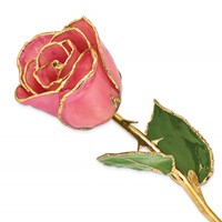 Lacquer Dipped Gold Trimmed Pink Real Rose view 1