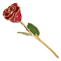 Lacquer Dipped Gold Trimmed Red Real Rose view 2