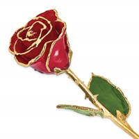 Lacquer Dipped Gold Trimmed Red Real Rose view 1