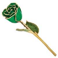 Lacquer Dipped Gold Trimmed Green Real Rose view 2