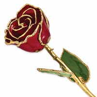 Lacquer Dipped Gold Trimmed Burgundy Real Rose view 1