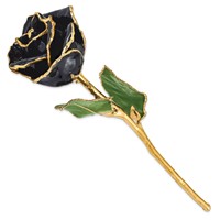 Lacquer Dipped Gold Trimmed Black Real Rose view 2