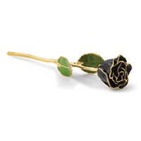 Lacquer Dipped Gold Trimmed Black Real Rose view 5