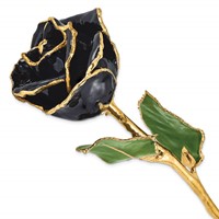 Lacquer Dipped Gold Trimmed Black Real Rose view 1