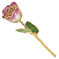 Lacquer Dipped Gold Trimmed Amethyst Real Rose view 2