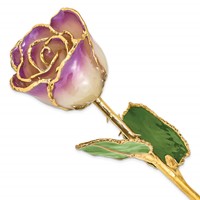 Lacquer Dipped Gold Trimmed Amethyst Real Rose view 1