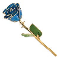 Lacquer Dipped Gold Trimmed Blue Real Rose view 2