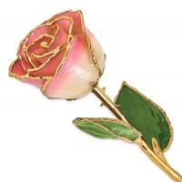 Lacquer Dipped Gold Trimmed White Pink Real Rose view 1
