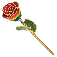 Lacquer Dipped Gold Trimmed Rainbow Real Rose view 2