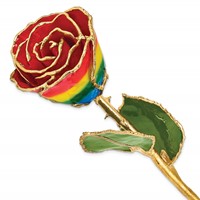 Lacquer Dipped Gold Trimmed Rainbow Real Rose view 1