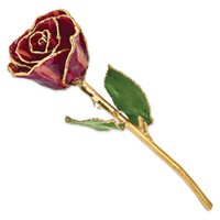 Lacquer Dipped Gold Trimmed Abracadabra Real Rose view 2