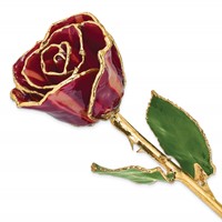 Lacquer Dipped Gold Trimmed Abracadabra Real Rose view 1