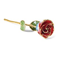 Lacquer Dipped Gold Trimmed Liberty Real Rose view 5