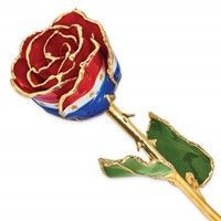 Lacquer Dipped Gold Trimmed Liberty Real Rose view 1