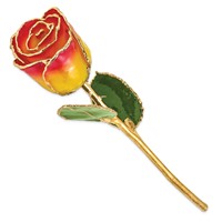 Lacquer Dipped Gold Trimmed Yellow Red Real Rose view 2