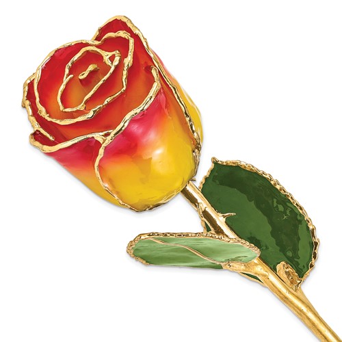 Lacquer Dipped Gold Trimmed Yellow Red Real Rose