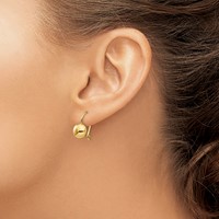14K 8mm Polished Button Kidney Wire Earrings view 3
