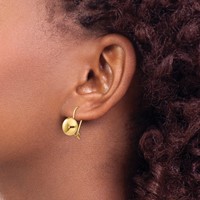 14K 10.5mm Yellow Gold Polished Button Kidney Wire Earrings view 3