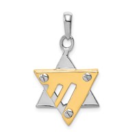 14K Two-tone Star of David Pendant view 1