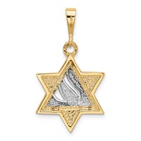 14K Two-tone Star of David Pendant with Shin Symbol view 3