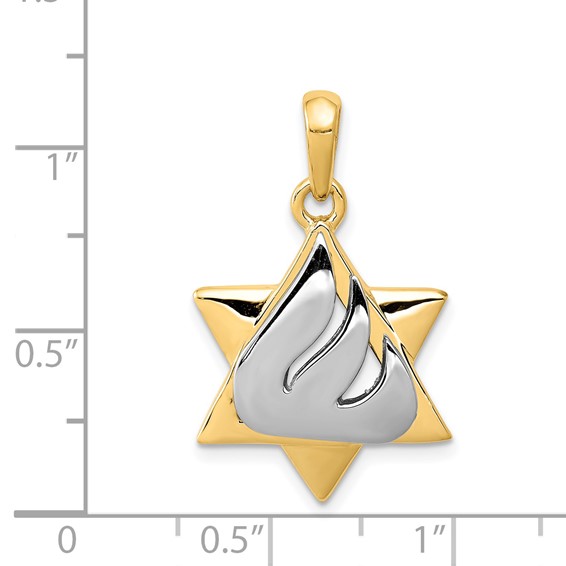14k Two-tone Star of David with Shin Symbol Pendant