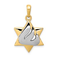 14K Two-tone Star of David Pendant with Shin Symbol view 1