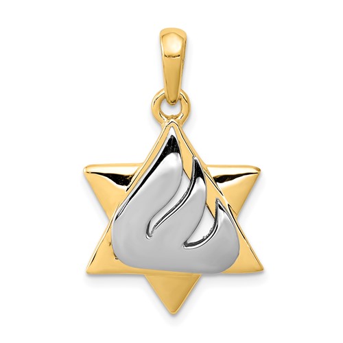 14K Two-tone Star of David Pendant with Shin Symbol