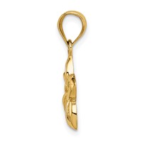 14K Yellow Gold Polished Cut-out Plumeria Pendant view 2
