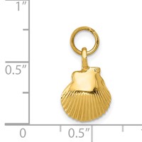 14K Yellow Gold Seashell Pendant view 4