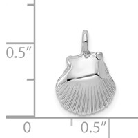 14K White Gold Seashell Pendant view 4