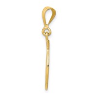 14K Clover in Horseshoe Pendant view 2
