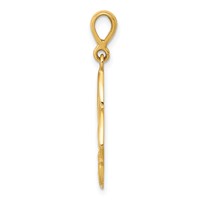 14K and White Rhodium Diamond-cut Claddagh Trinity Knot Pendant view 2