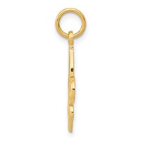 14K Yellow Gold Fleur De Lis Charm view 2