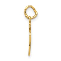 14K Yellow Gold Money Bag Charm view 2