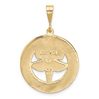 14K Yellow Gold RN the Art of Caring Pendant view 3
